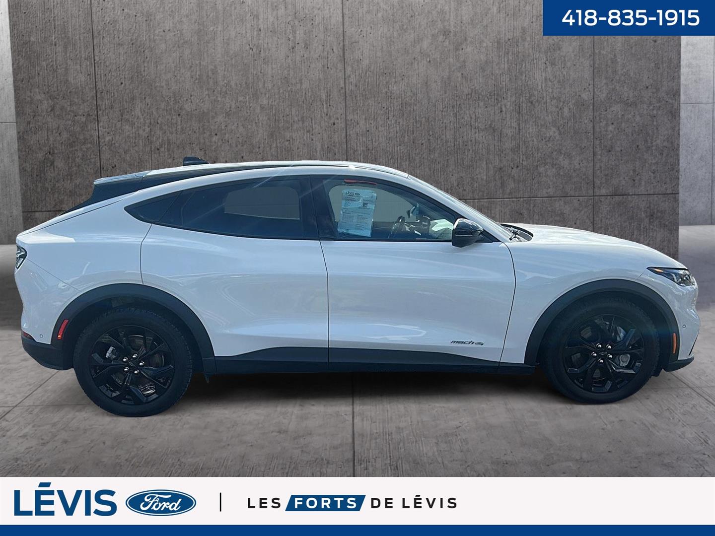 Ford Mustang Mach-e 5