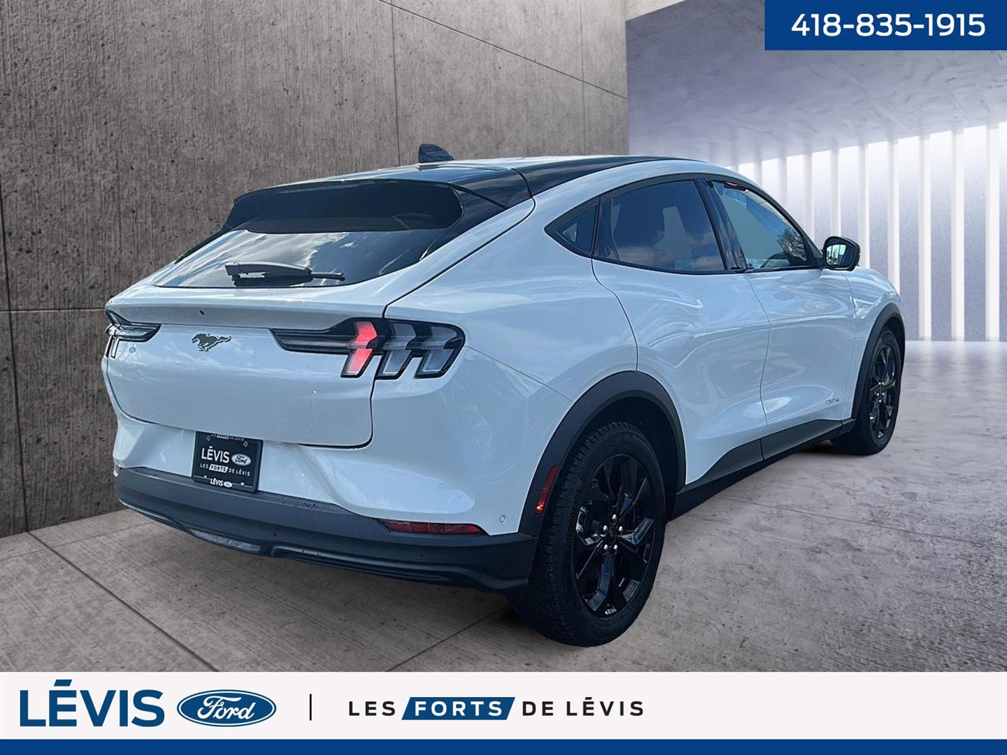 Ford Mustang Mach-e 6