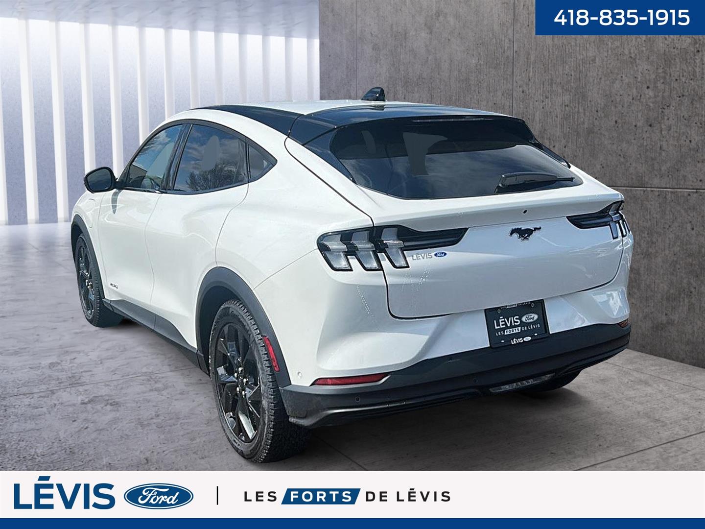 Ford Mustang Mach-e 8