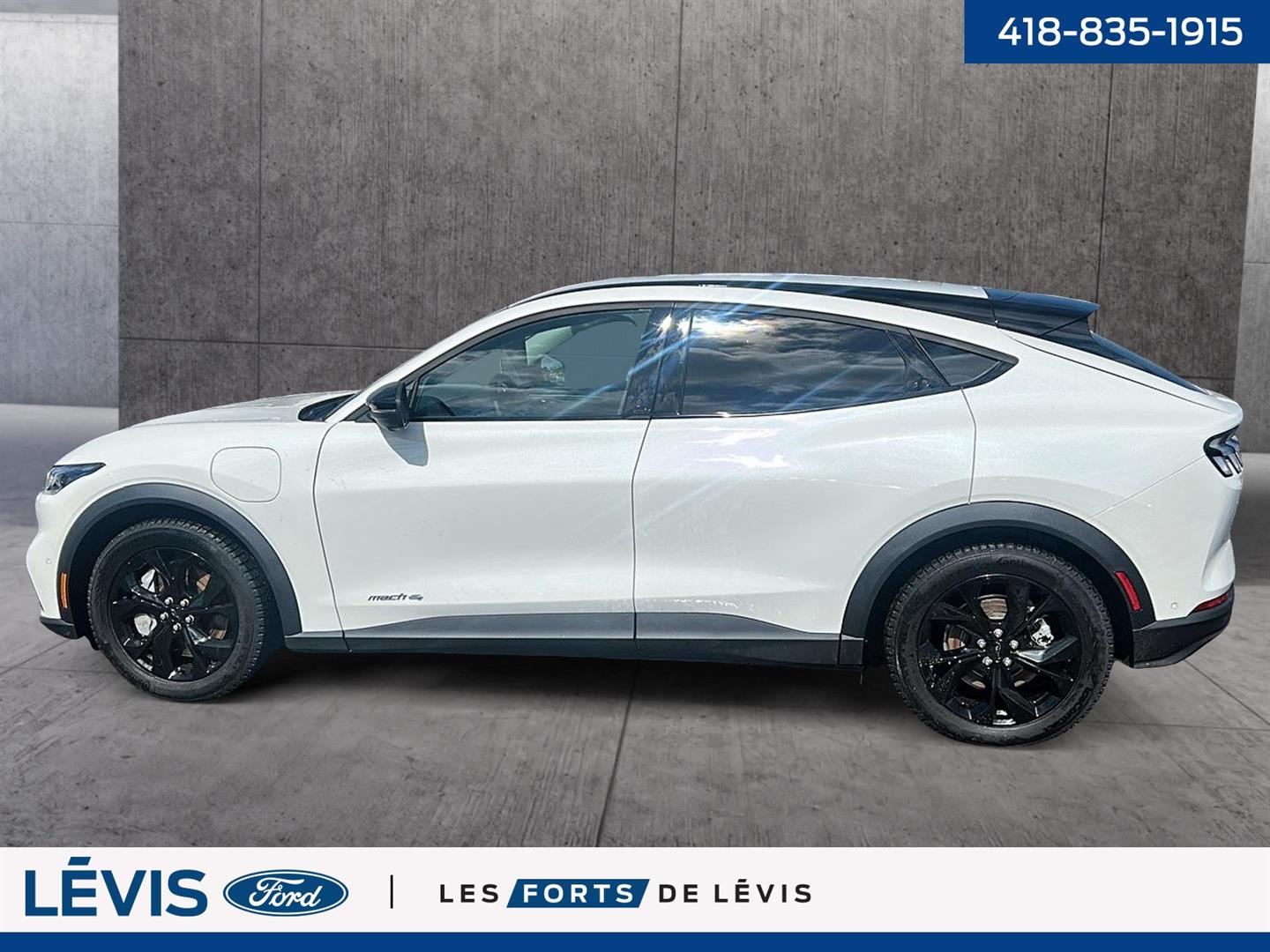 Ford Mustang Mach-e 9