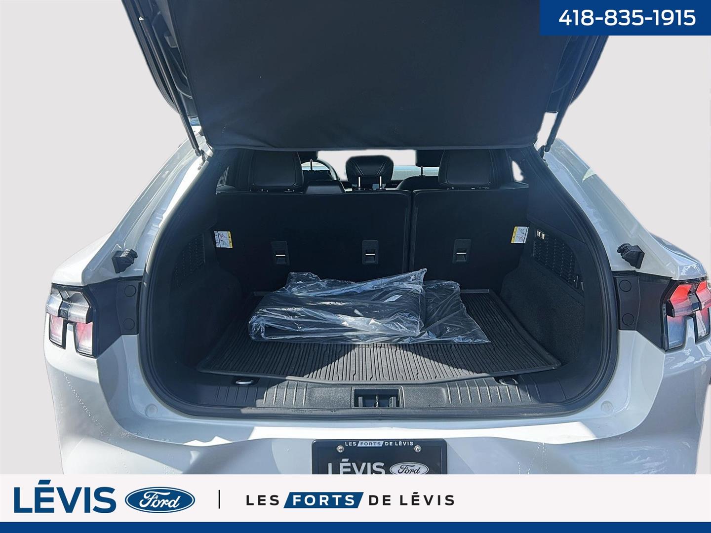 Ford Mustang Mach-e 10