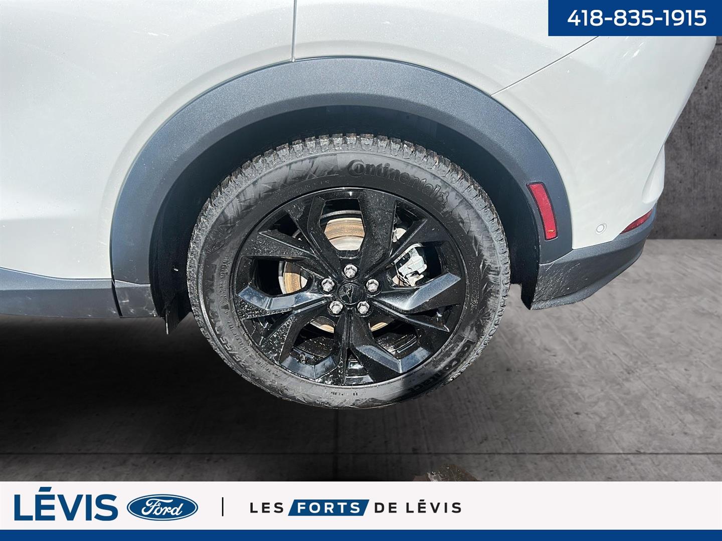 Ford Mustang Mach-e 11