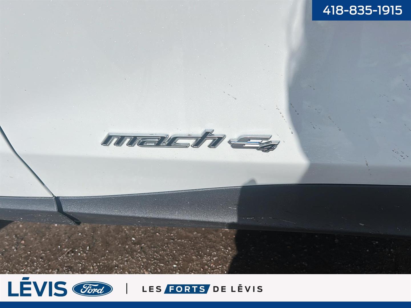 Ford Mustang Mach-e 12