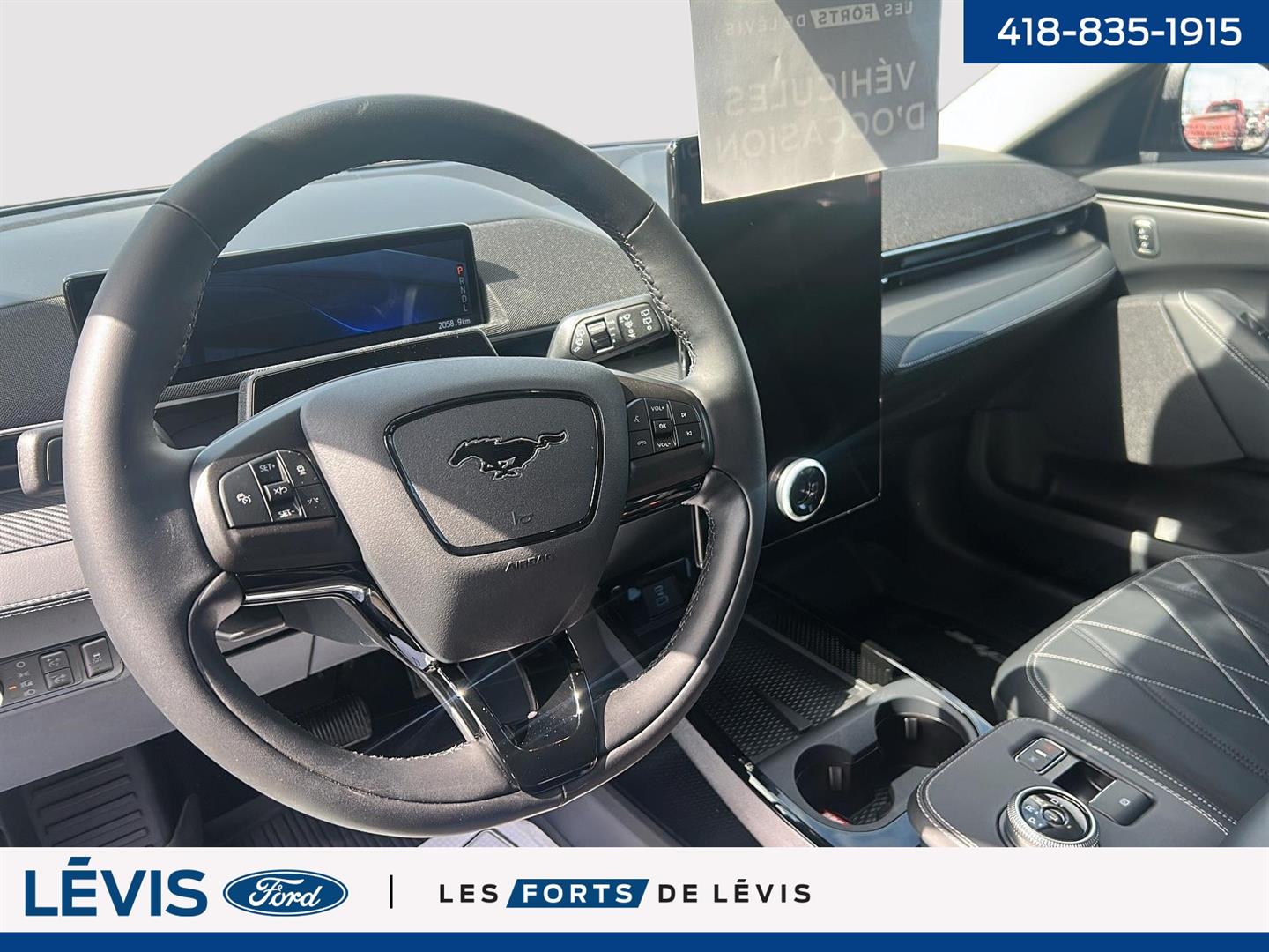 Ford Mustang Mach-e 15