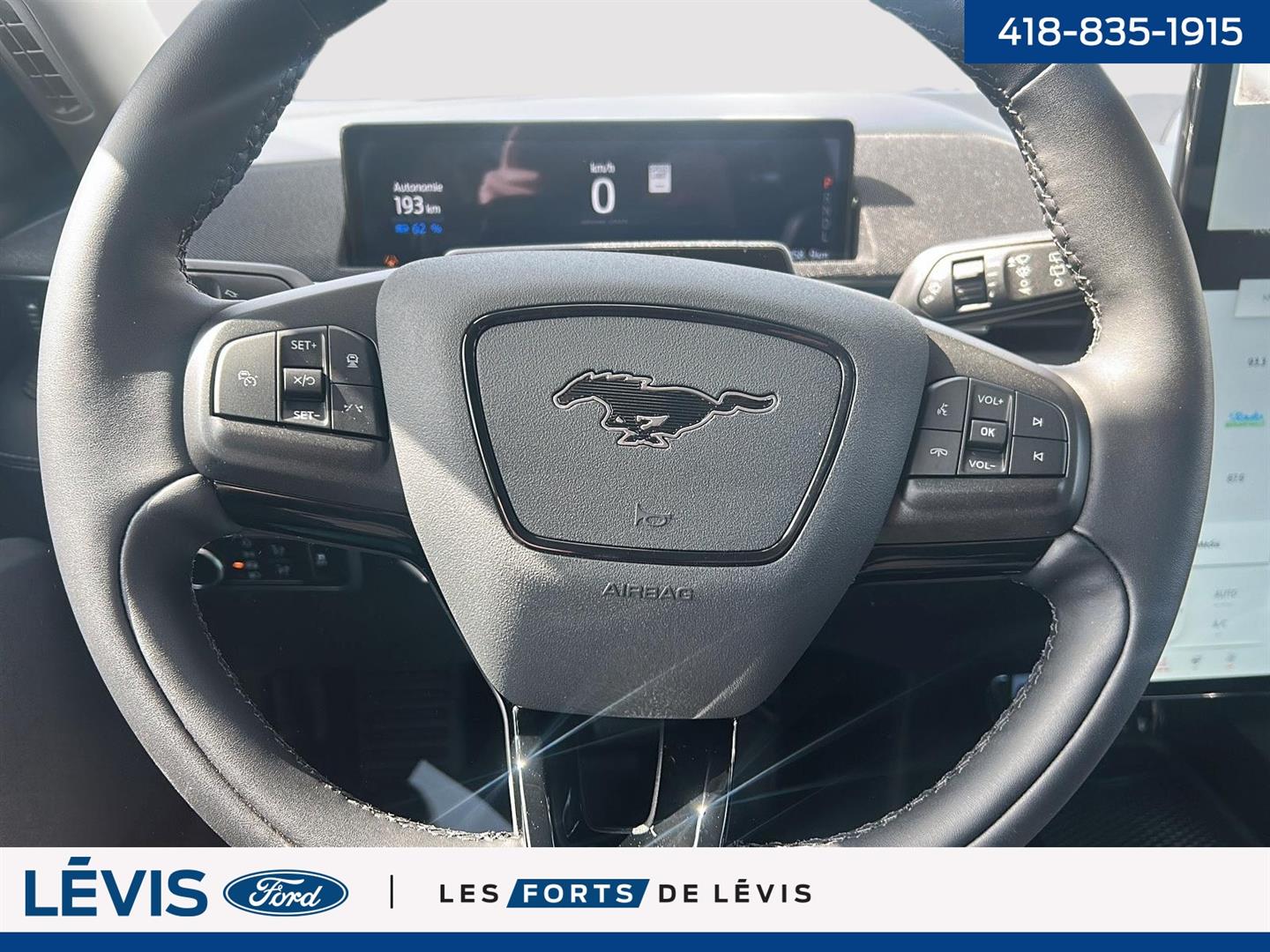 Ford Mustang Mach-e 17