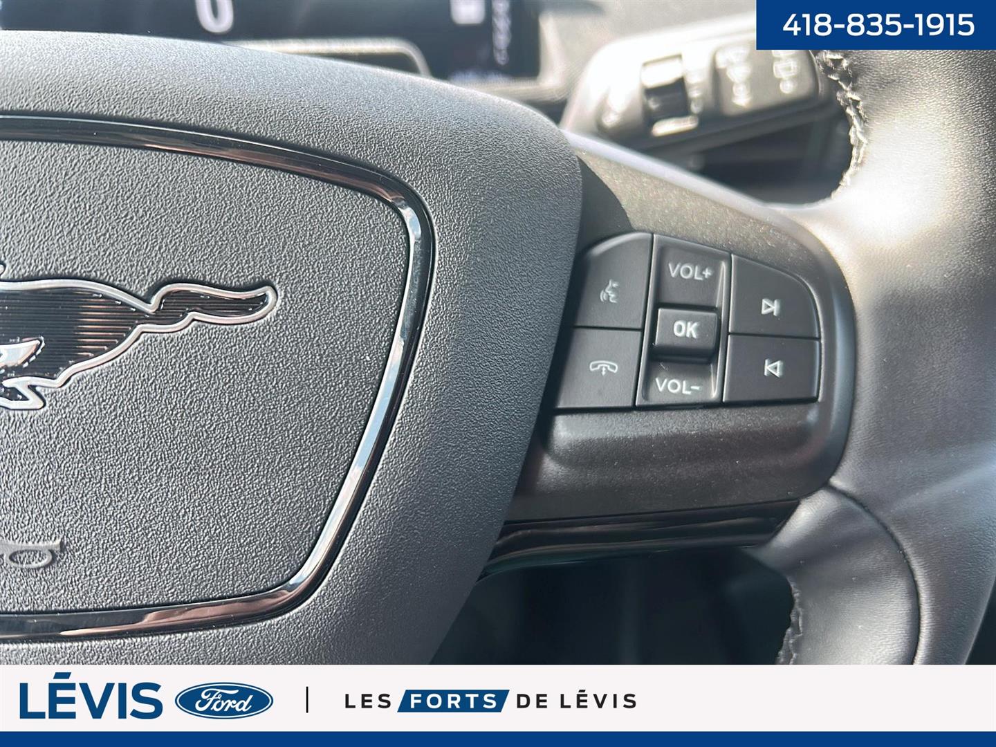 Ford Mustang Mach-e 18