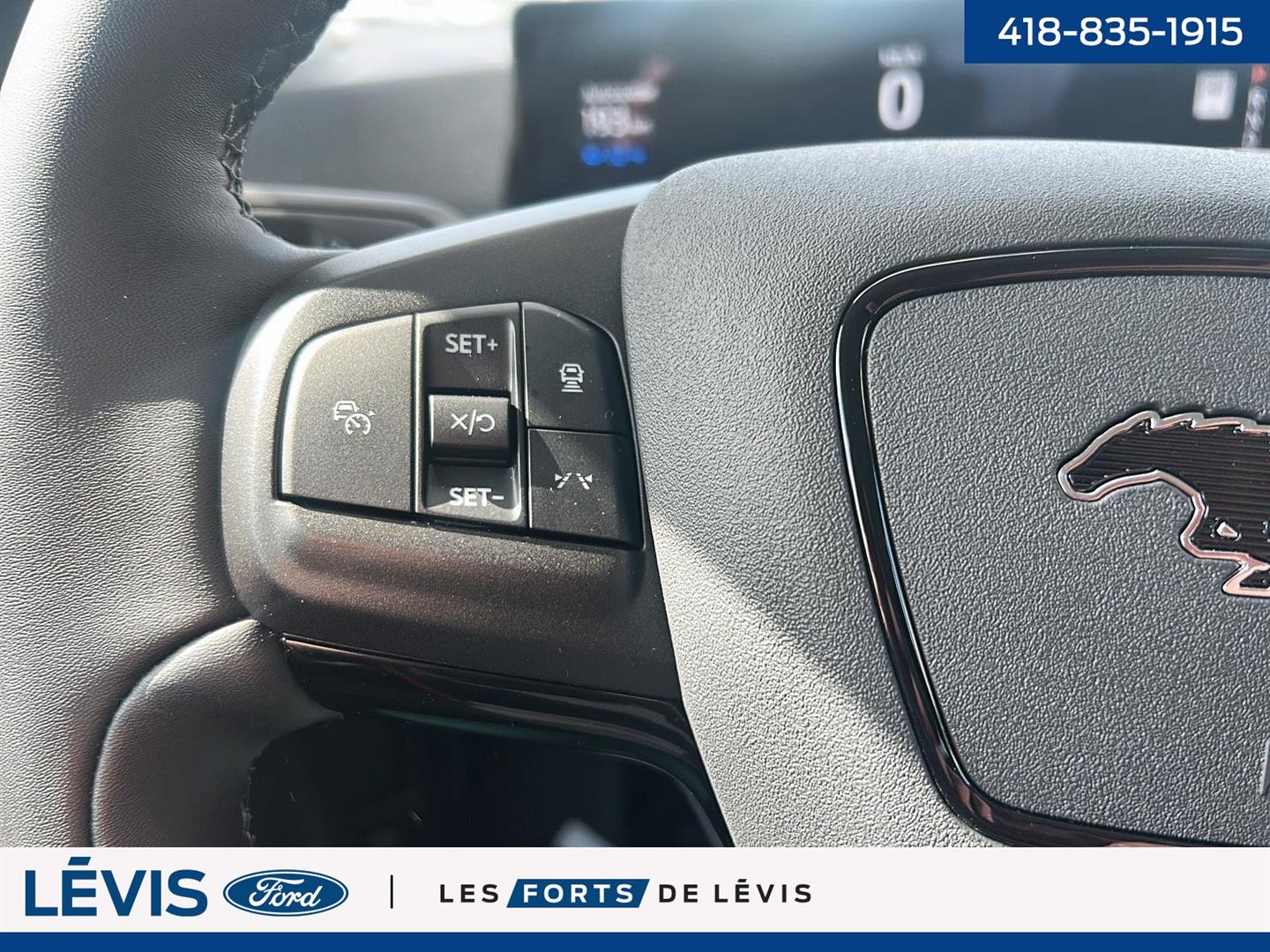 Ford Mustang Mach-e 19