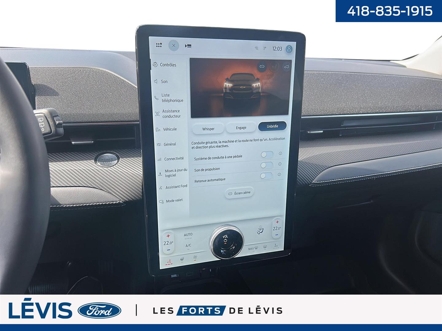 Ford Mustang Mach-e 21