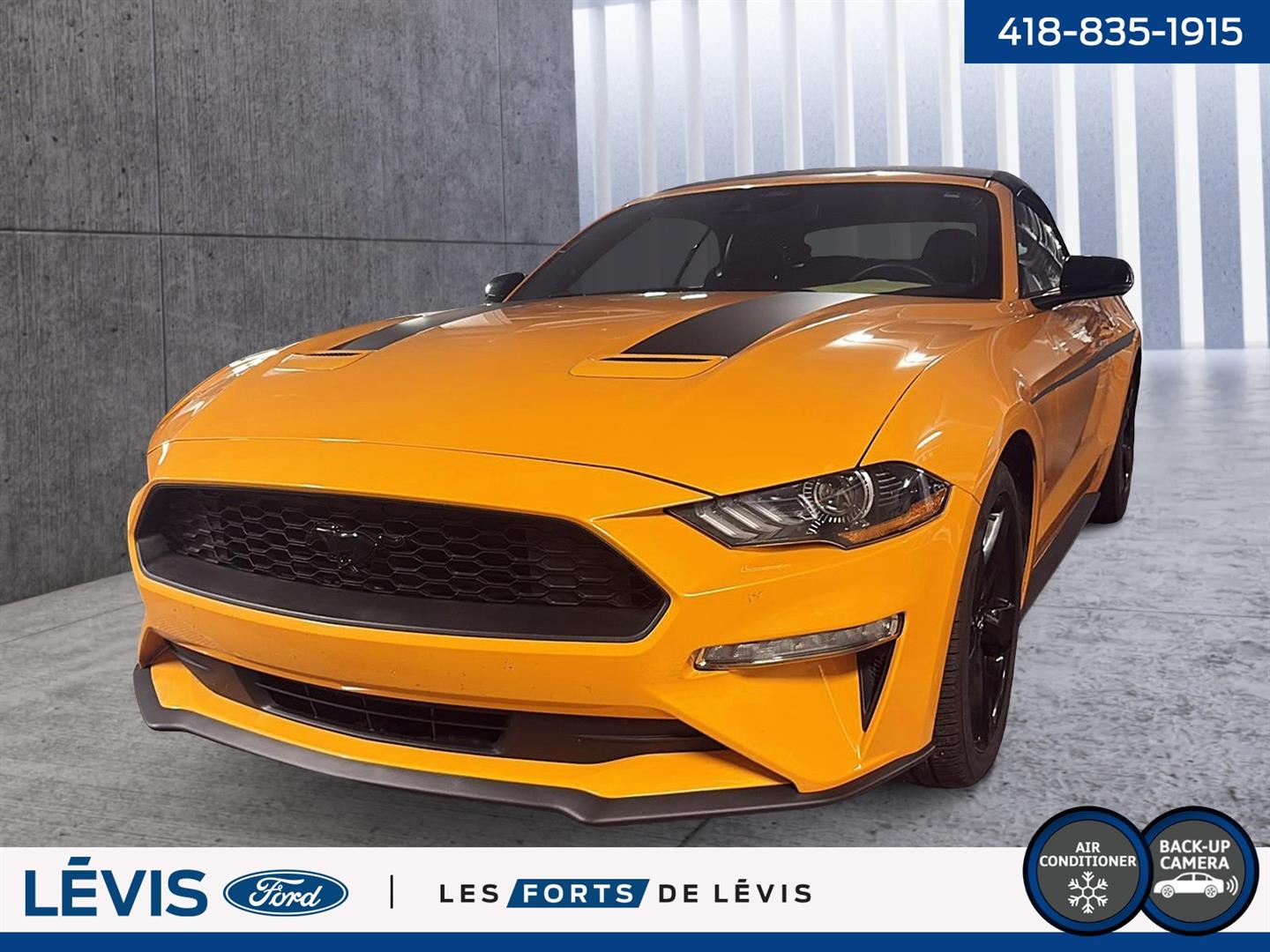 Ford Mustang EcoBoost Convertible RWD 2022
