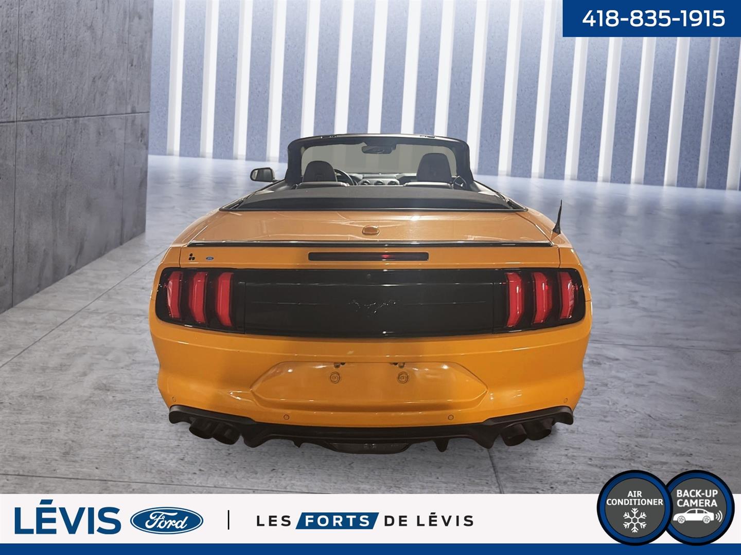 ford Mustang 2022 - 2