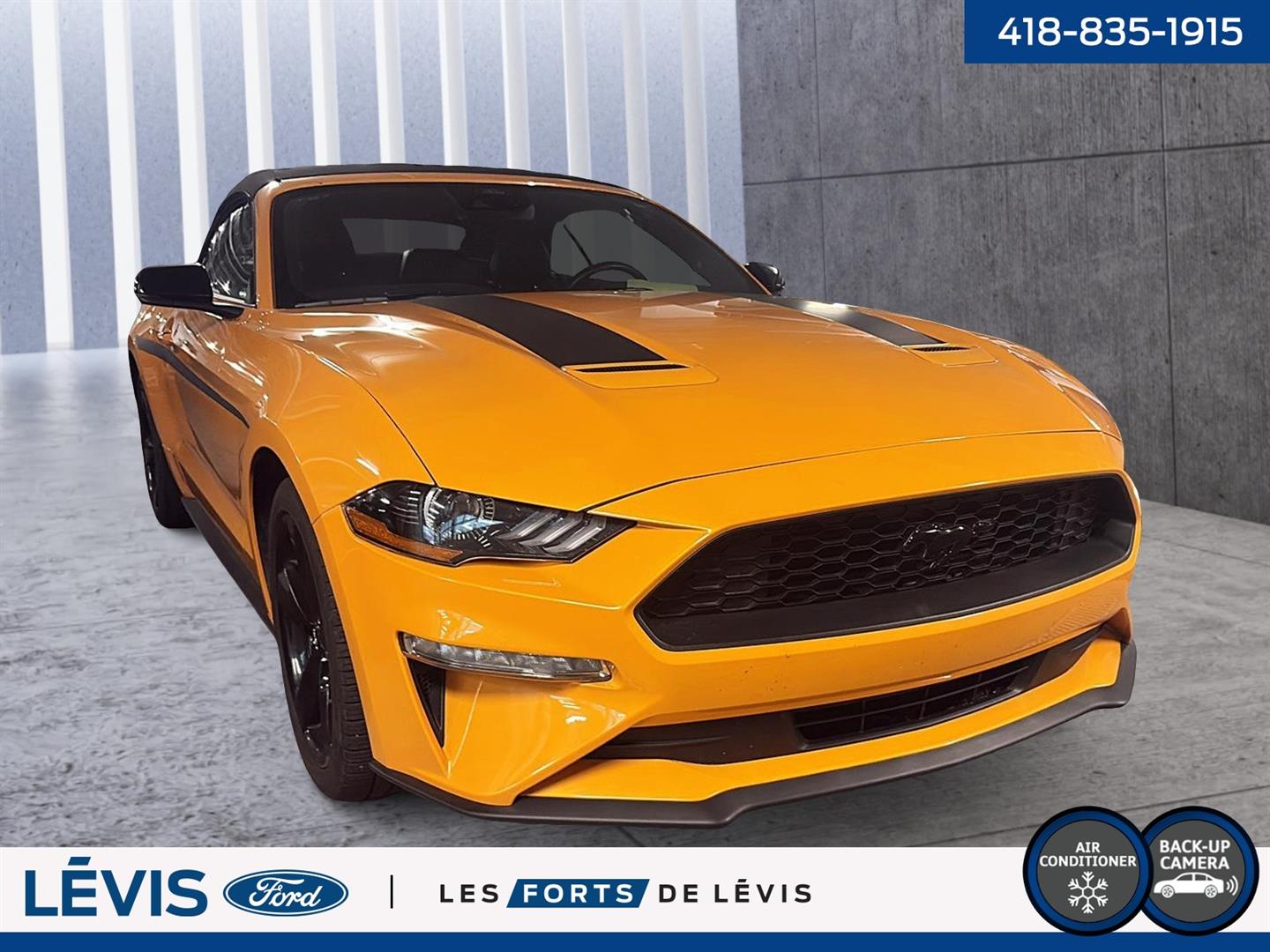 ford Mustang 2022 - 5