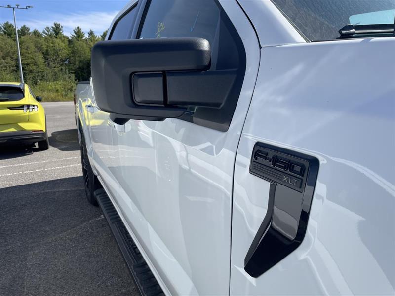 ford F-150 2025 - 4