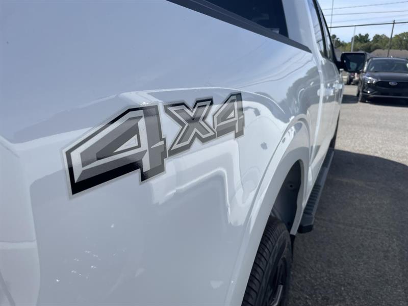 ford F-150 2025 - 6