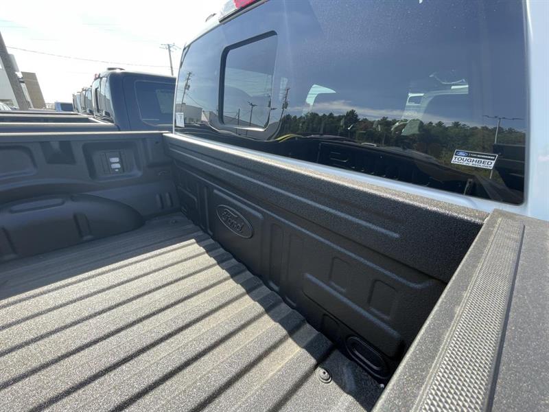 ford F-150 2025 - 10
