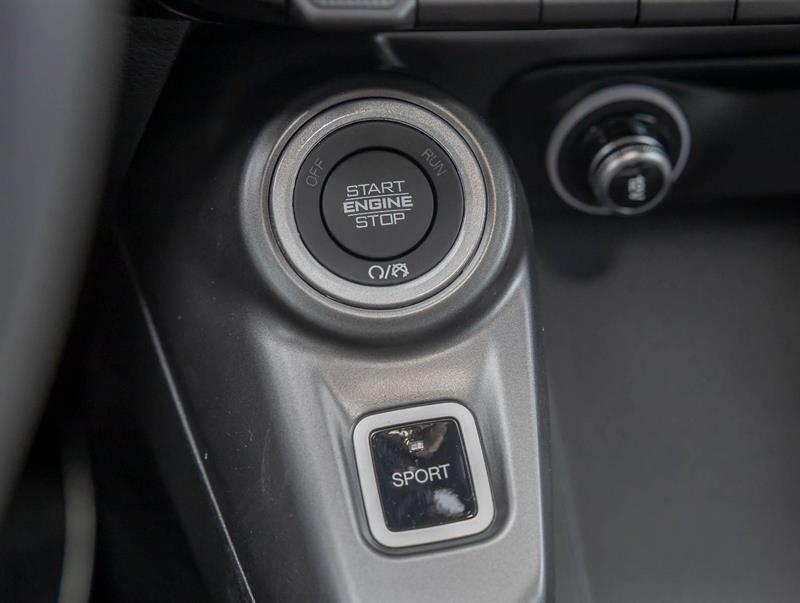Dodge Hornet 20