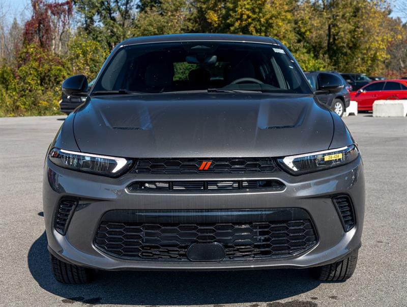 Dodge Hornet 2