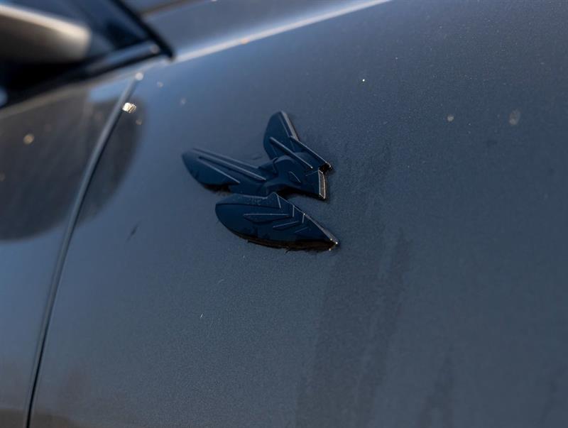 Dodge Hornet 31