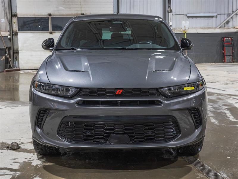 Dodge Hornet 2