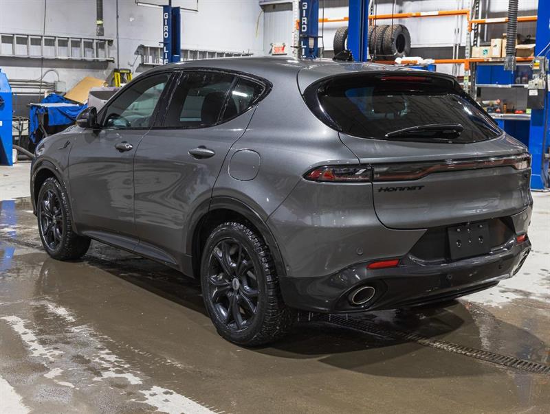 Dodge Hornet 5