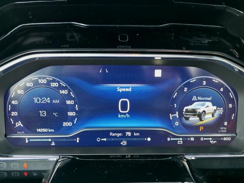 Chevrolet Silverado 1500 25