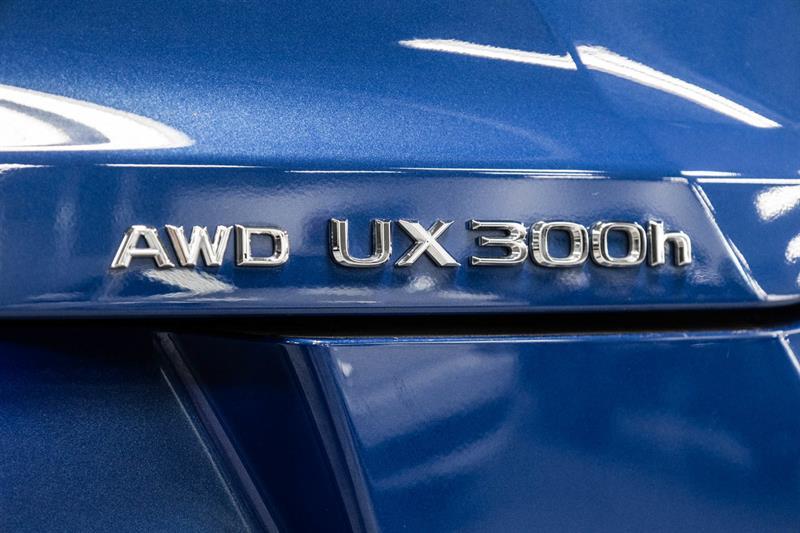 2025 Lexus UX - Image 14
