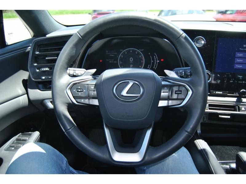 2023 Lexus RX - Image 14