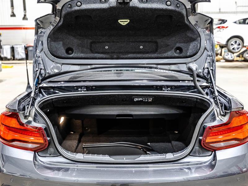 2020 Bmw 2 Series - Image 12