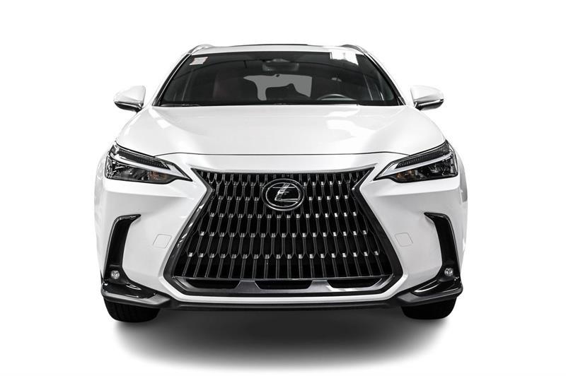 2025 Lexus NX - Image 2