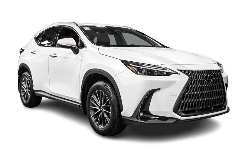 2025 Lexus NX - Image 4