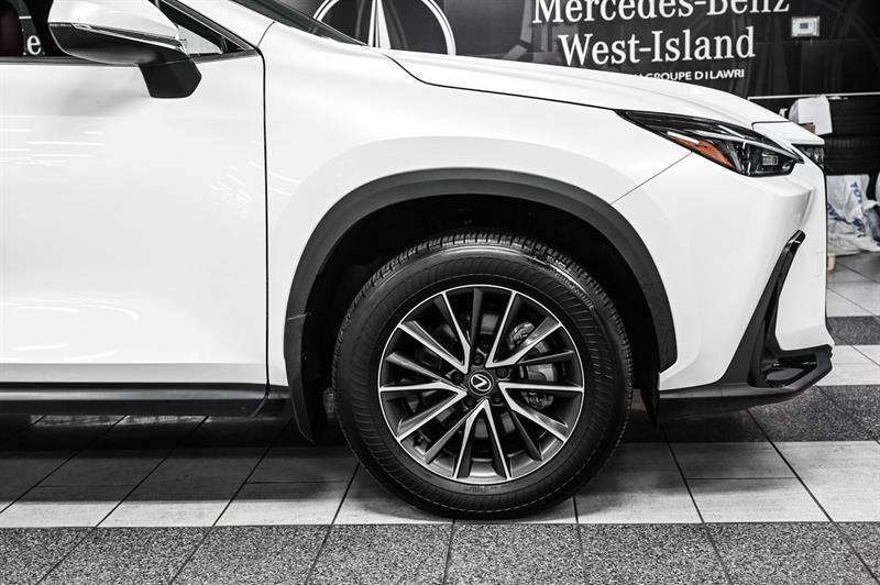 2025 Lexus NX - Image 12
