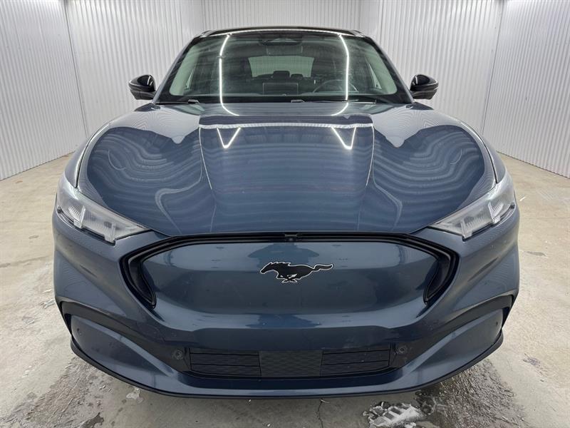 ford Mustang Mach-E 2021 - 3