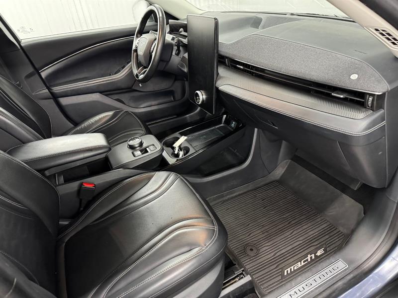 ford Mustang Mach-E 2021 - 16