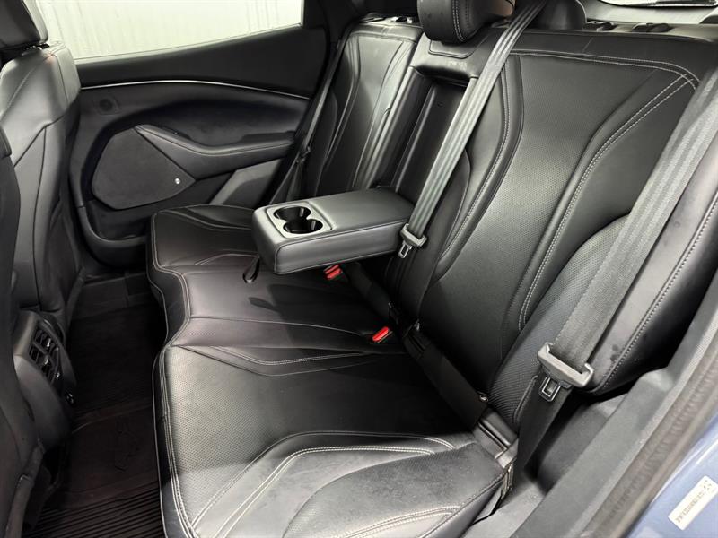 ford Mustang Mach-E 2021 - 20