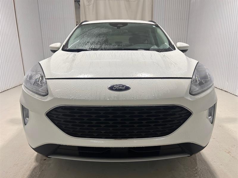 ford Escape 2021 - 2