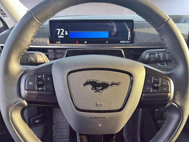 ford Mustang Mach-E 2023 - 10