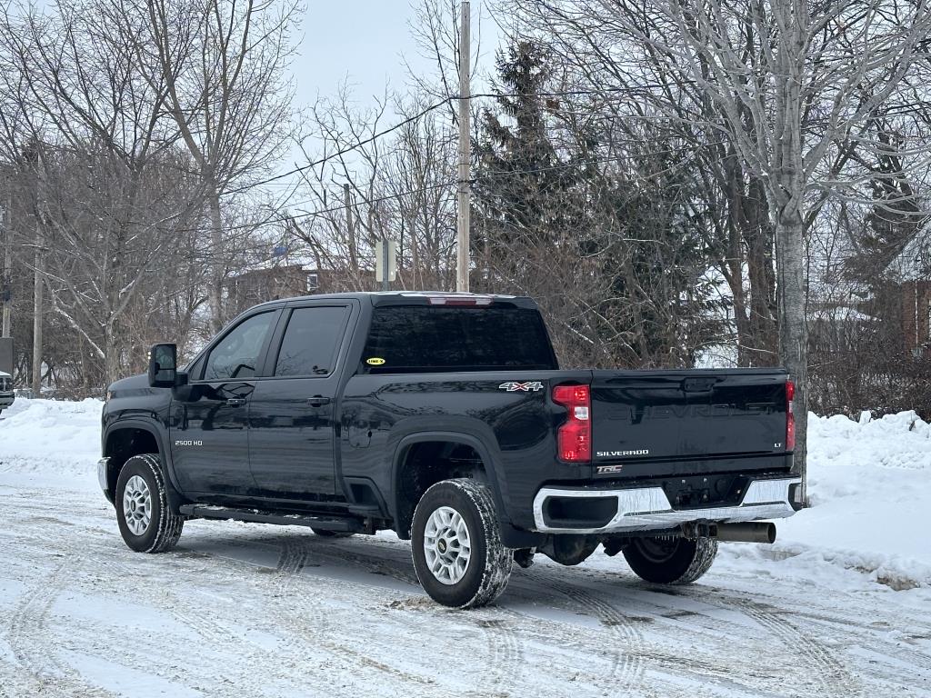 chevrolet SILVERADO 2500 CAISSE STANDARD DE 6 PIED 2024 - 4