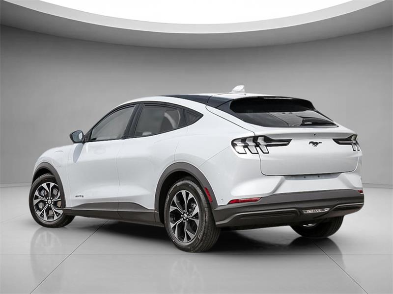 Ford Mustang Mach-e 4