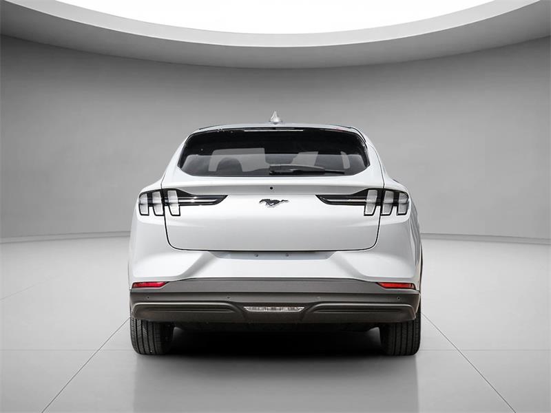 Ford Mustang Mach-e 5