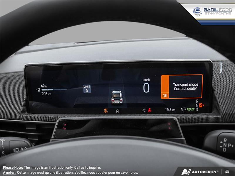 Ford Mustang Mach-e 15