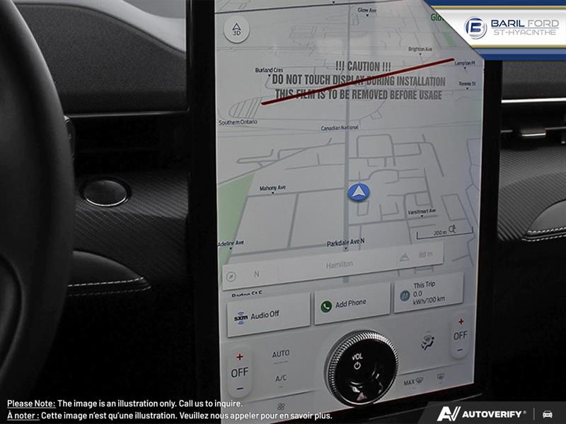 Ford Mustang Mach-e 19