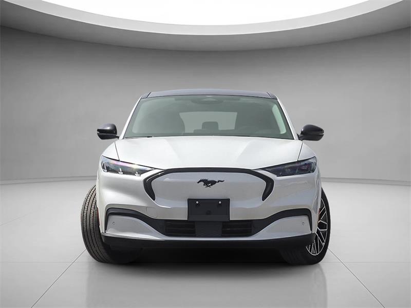 Ford Mustang Mach-e 2