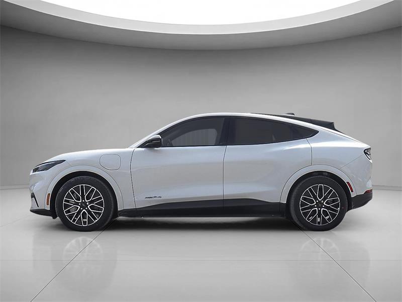 Ford Mustang Mach-e 3