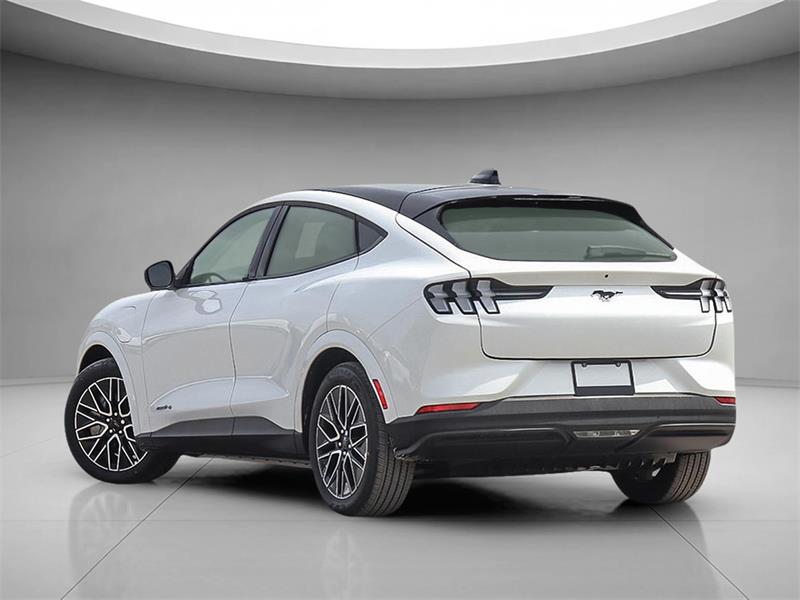 Ford Mustang Mach-e 4