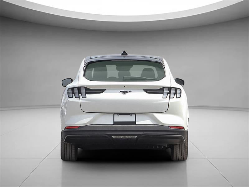 Ford Mustang Mach-e 5
