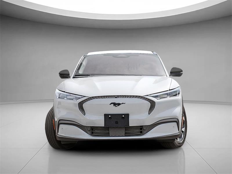 Ford Mustang Mach-e 2