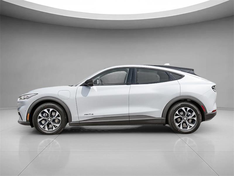 Ford Mustang Mach-e 3