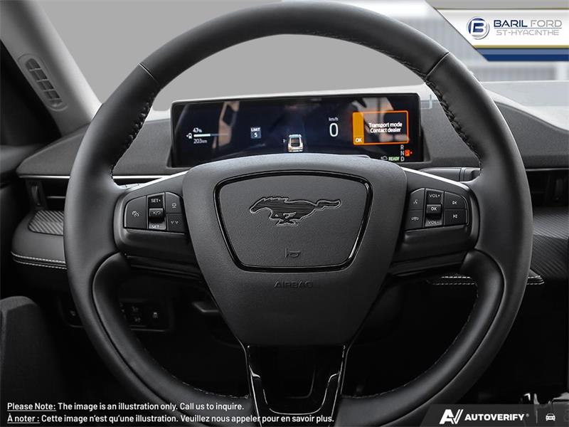 Ford Mustang Mach-e 14