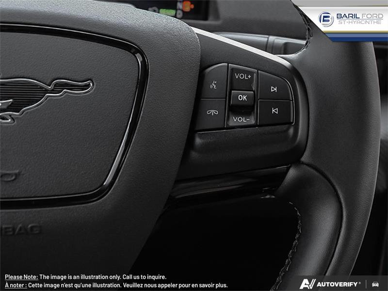 Ford Mustang Mach-e 16