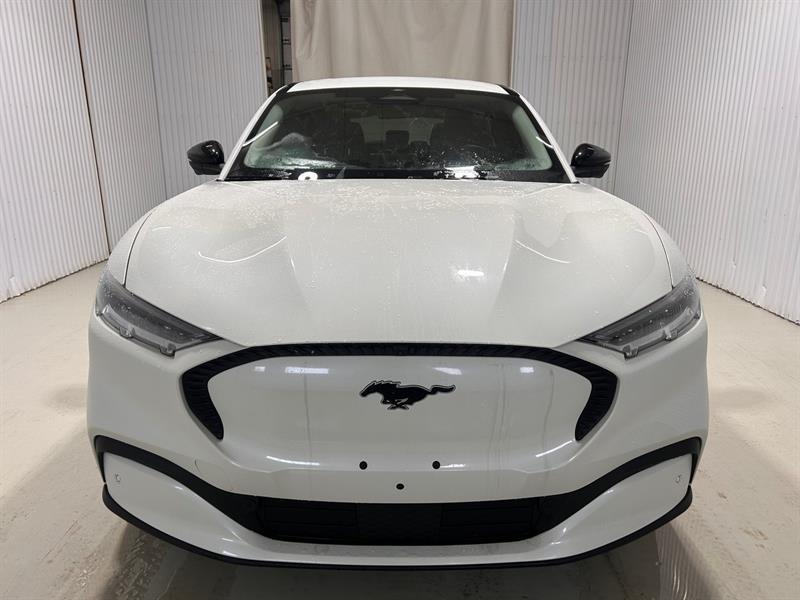 2023 Ford Mustang - Image 2