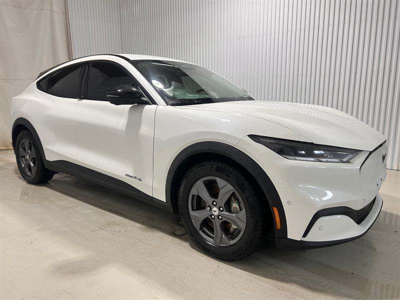 2023 Ford Mustang - Image 4